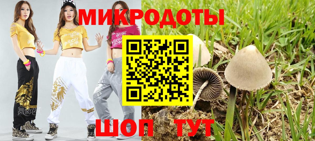 Галлюциногенные грибы MAGIC MUSHROOMS  Вход с VPN  Новодвинск 