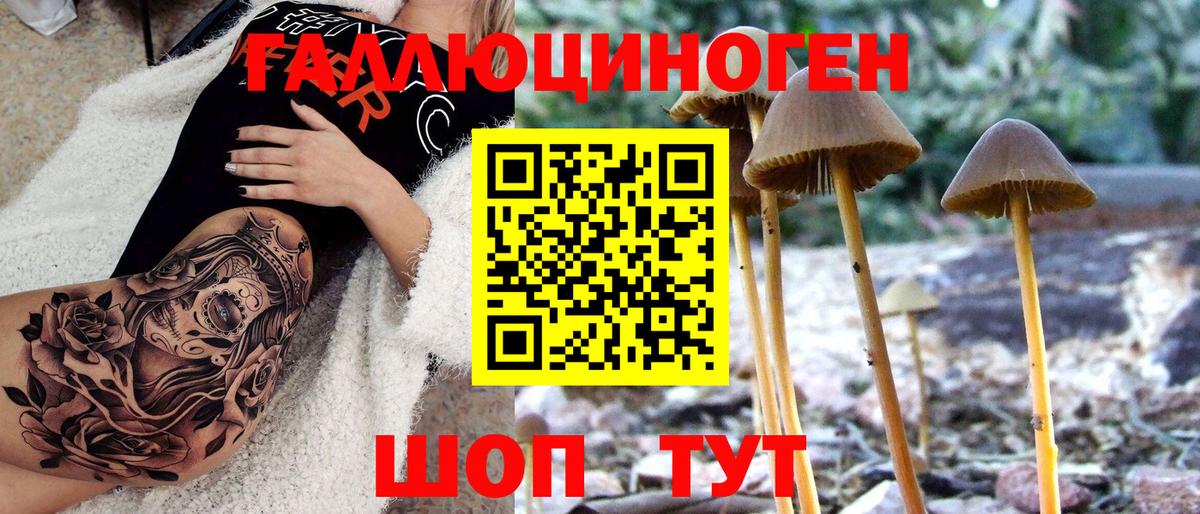 Псилоцибиновые грибы Cubensis Новодвинск
